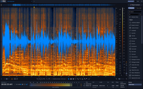 iZotope RX12 Standard