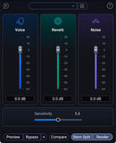 iZotope RX12 Standard