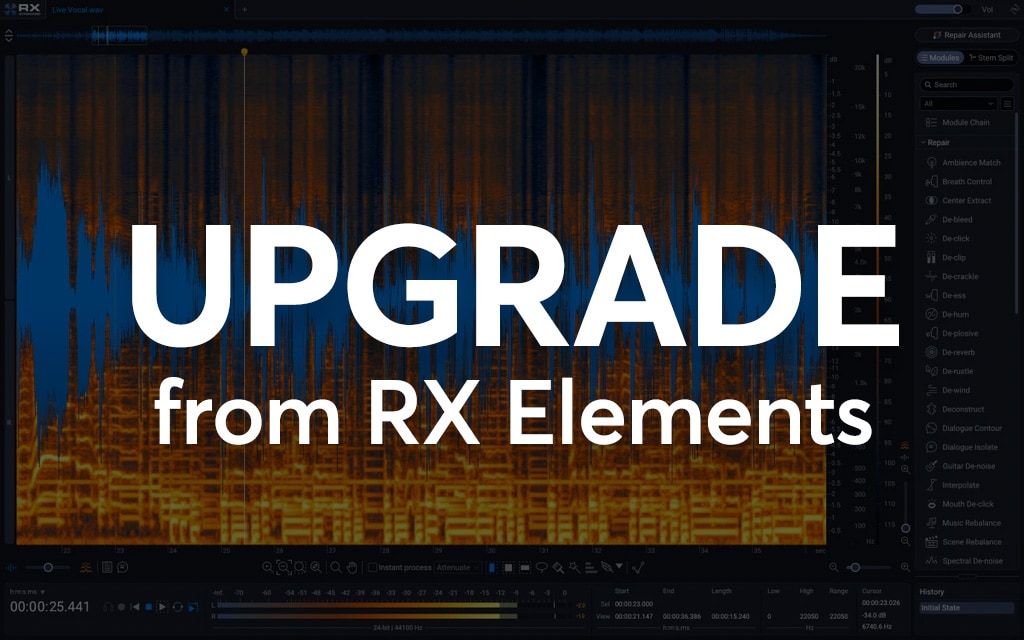 iZotope RX12 Standard - Upgrade from RX Elements