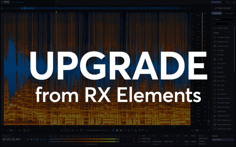 iZotope RX12 Standard - Upgrade from RX Elements