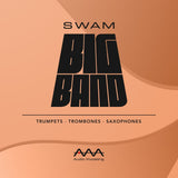 Audio Modeling SWAM Big Band Bundle