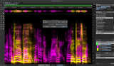 Steinberg SpectraLayers Pro 13