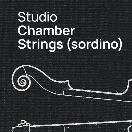 VSL Studio Chamber Strings (Sordino)