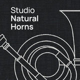 VSL Studio Natural Horns