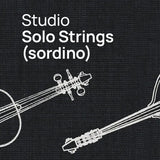 VSL Studio Solo Strings Sordino