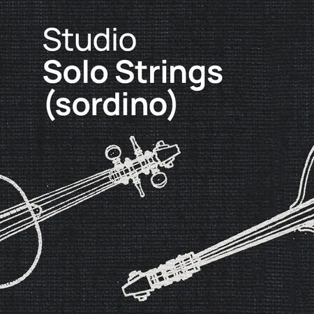 VSL Studio Solo Strings Sordino