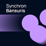 VSL Synchron World Winds: Bansuris