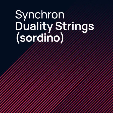 VSL Synchron Duality Strings (Sordino)