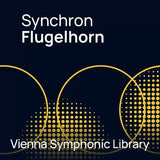 VSL Synchron Special Brass: Flugelhorn