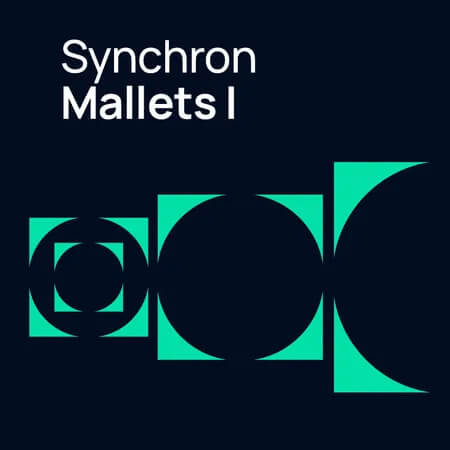 VSL Synchron Mallets I