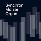 VSL Synchron Molzer Organ