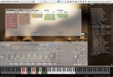 VSL Synchron Special Brass: Trumpet (Bb Muted)
