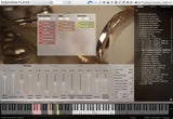 VSL Synchron Special Brass: Trumpet Ensemble (Muted)