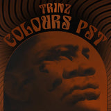 Spitfire Audio Trinz - Colours PST