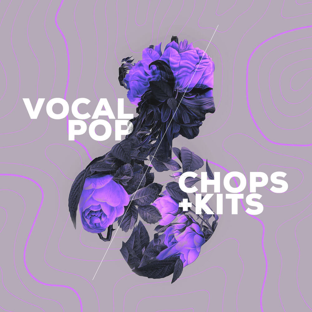 Audiomodern Loopmix Expansion: Vocal Pop