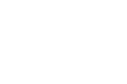 Bogren Digital Logo