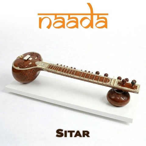 MoForte Naada Sitar