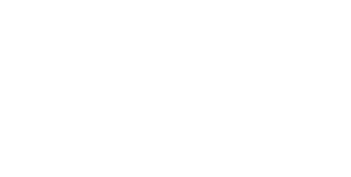 Slate Digital Logo