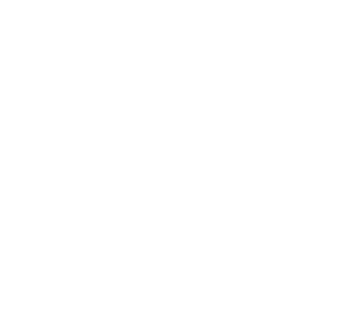 Tovusound Logo