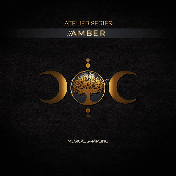 Musical Sampling Atelier Series: Amber | PluginFox