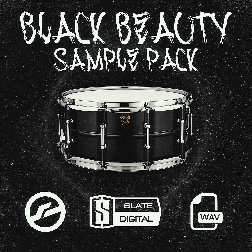 Prather Audio Black Beauty: Advanced | PluginFox