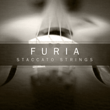 Impact Soundworks Furia Staccato Strings