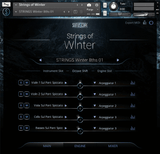 Sonuscore The Orchestra: Strings of Winter