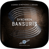 VSL Synchron Bansuris