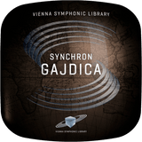 VSL Synchron Gajdica