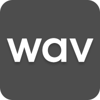 WAV Format